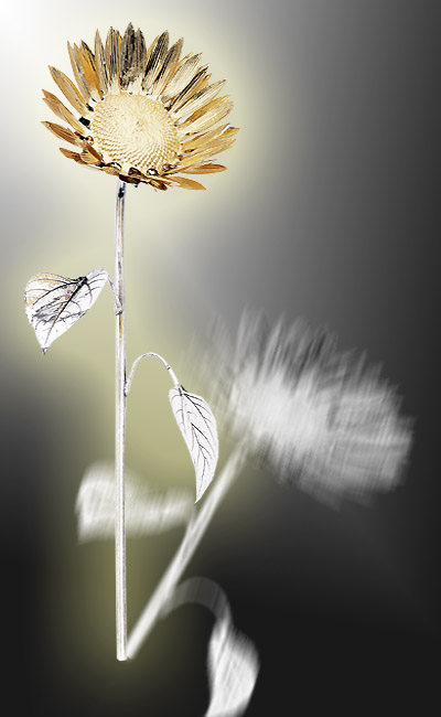 girasole - www.giroartsrl.it - fiore d'argento
