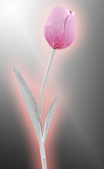 tulipano - www.giroartsrl.it - fiore d'argento
